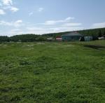 <Фотография до<br>